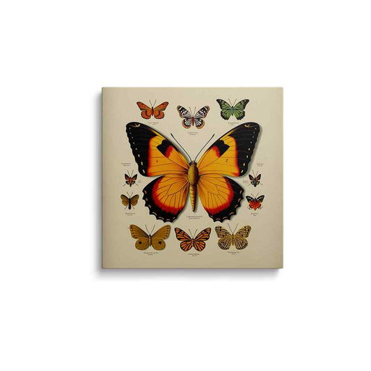 Butterfly painting | Fluttering Mirage | wallstorie