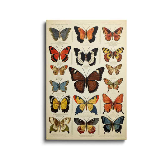 Butterfly painting | Transcendent Tapestries | wallstorie