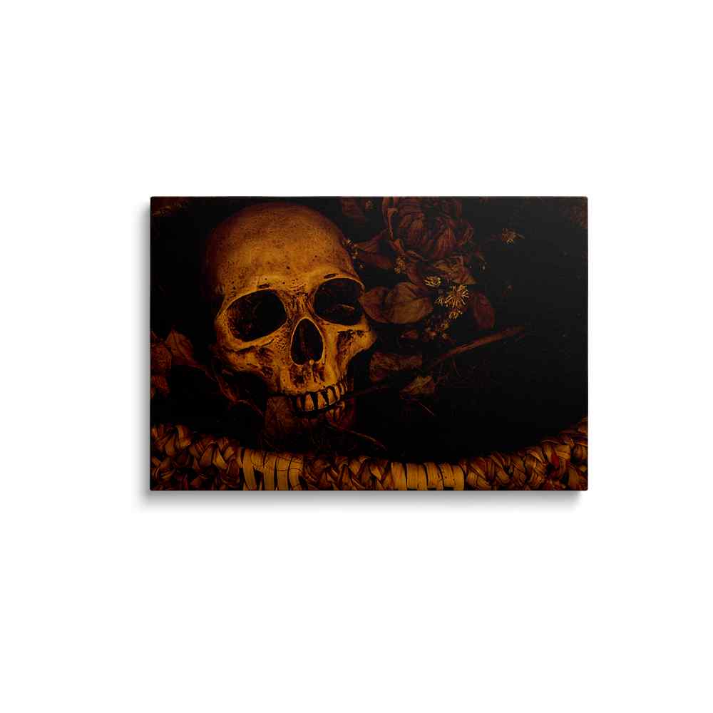 Human Skeleton - skull painting---