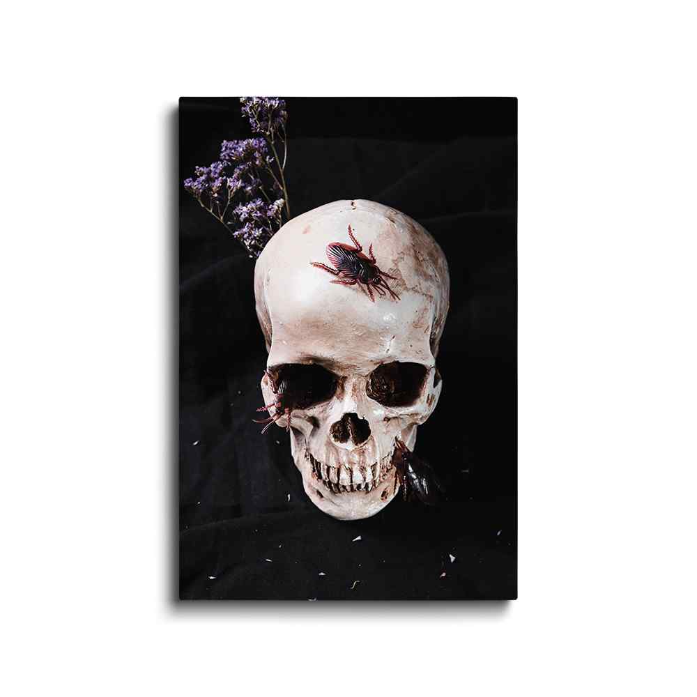 Modern - skull painting