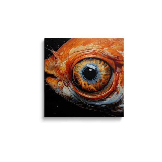Fish eye painting | Aquatic Vision | wallstorie