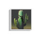 Mexico Cactus On The Rocks