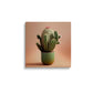 Kunstorner Cactus Art
