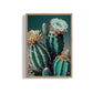 Cactus Beautiful Art