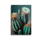 Cactus Beautiful Art