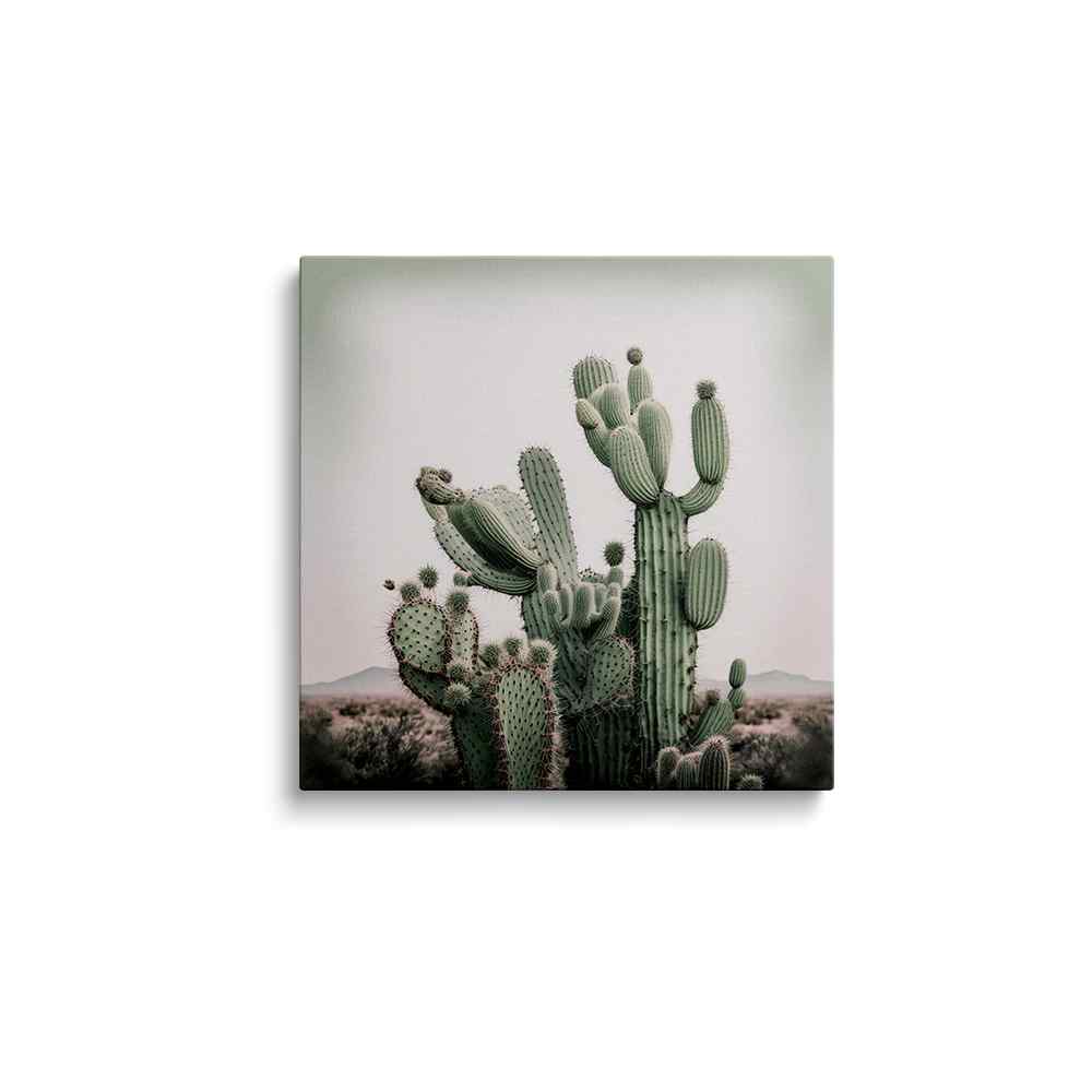Black And White Cactus Wall Art---