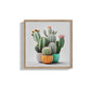 Cactus & Cacti In Colourful Pot