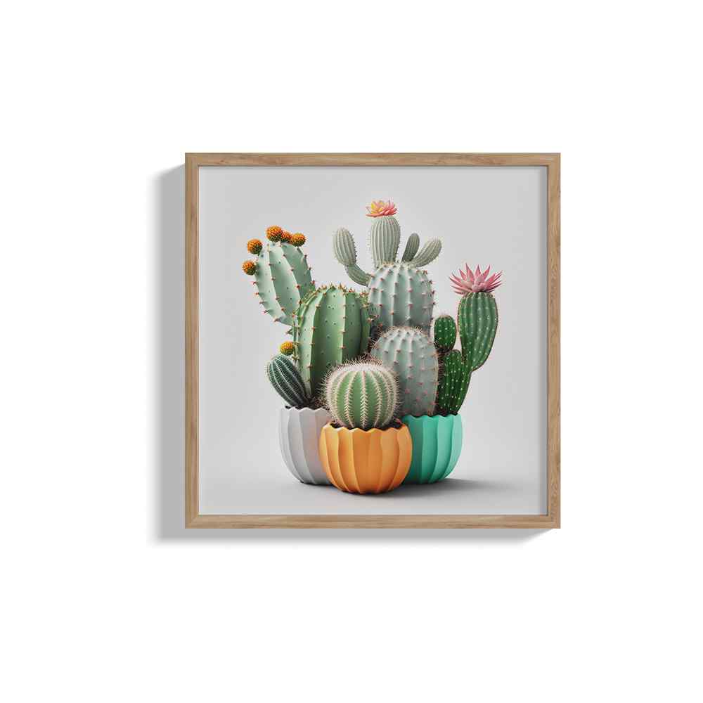 Cactus & Cacti In Colourful Pot---