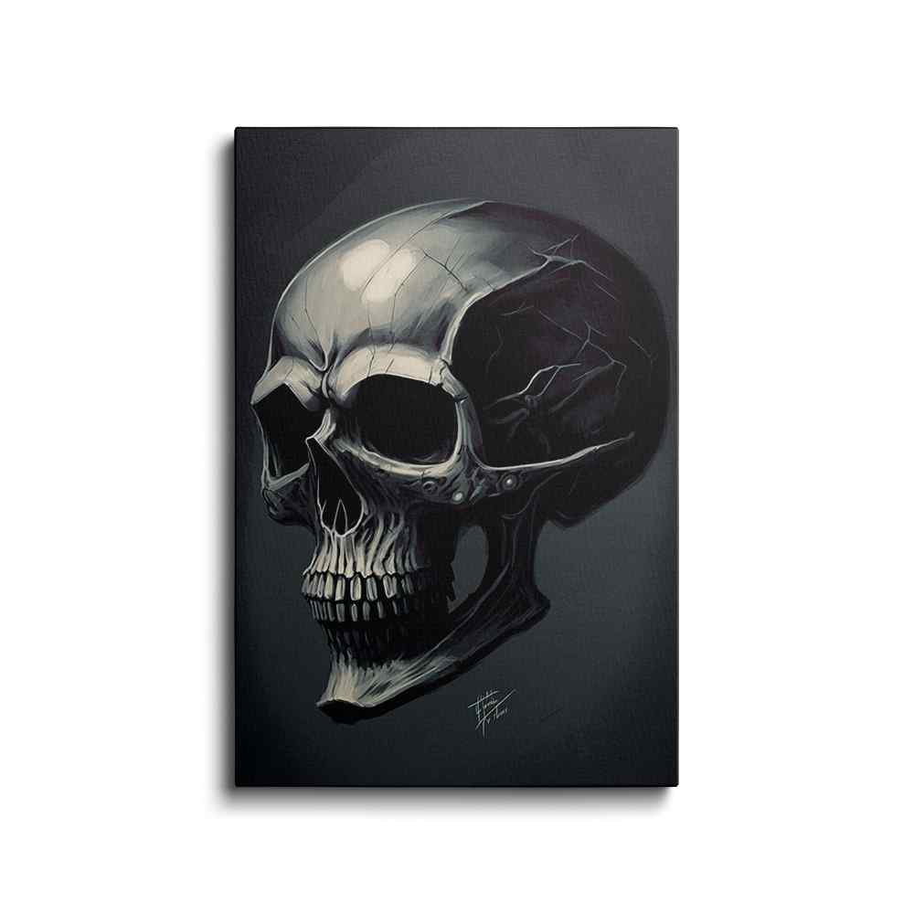 Black And Wight Skull Head - skull painting---