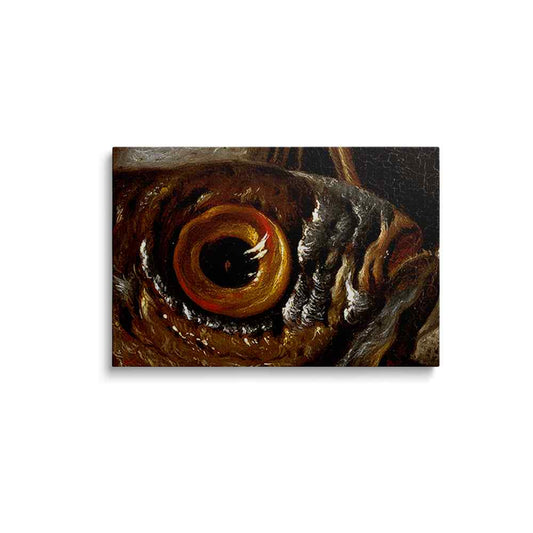 Fish eye painting | Aqua Vortex | wallstorie