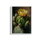 Desert Bloom- Cactus Wall Art