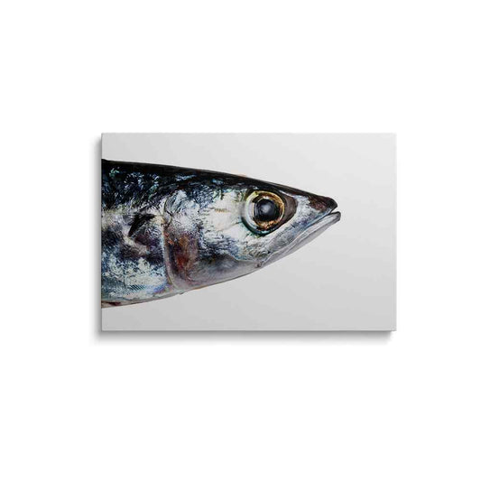 Fish eye painting | Coral Kaleidoscope | wallstorie