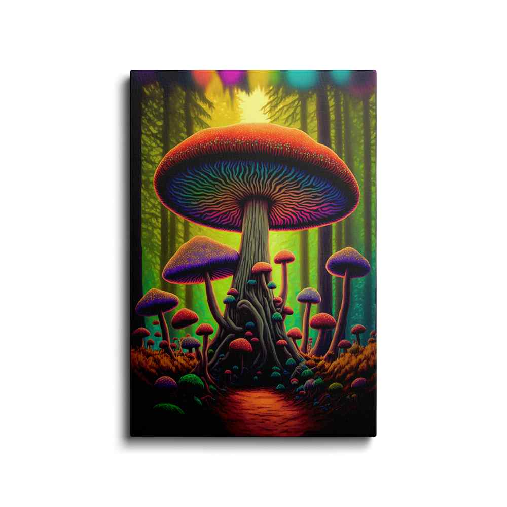 Mushroom Trippy Art---