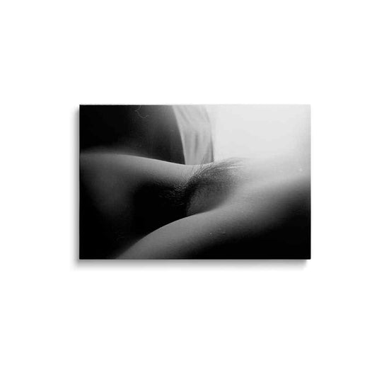 Nude Art photography | Silhouette Serenade | wallstorie