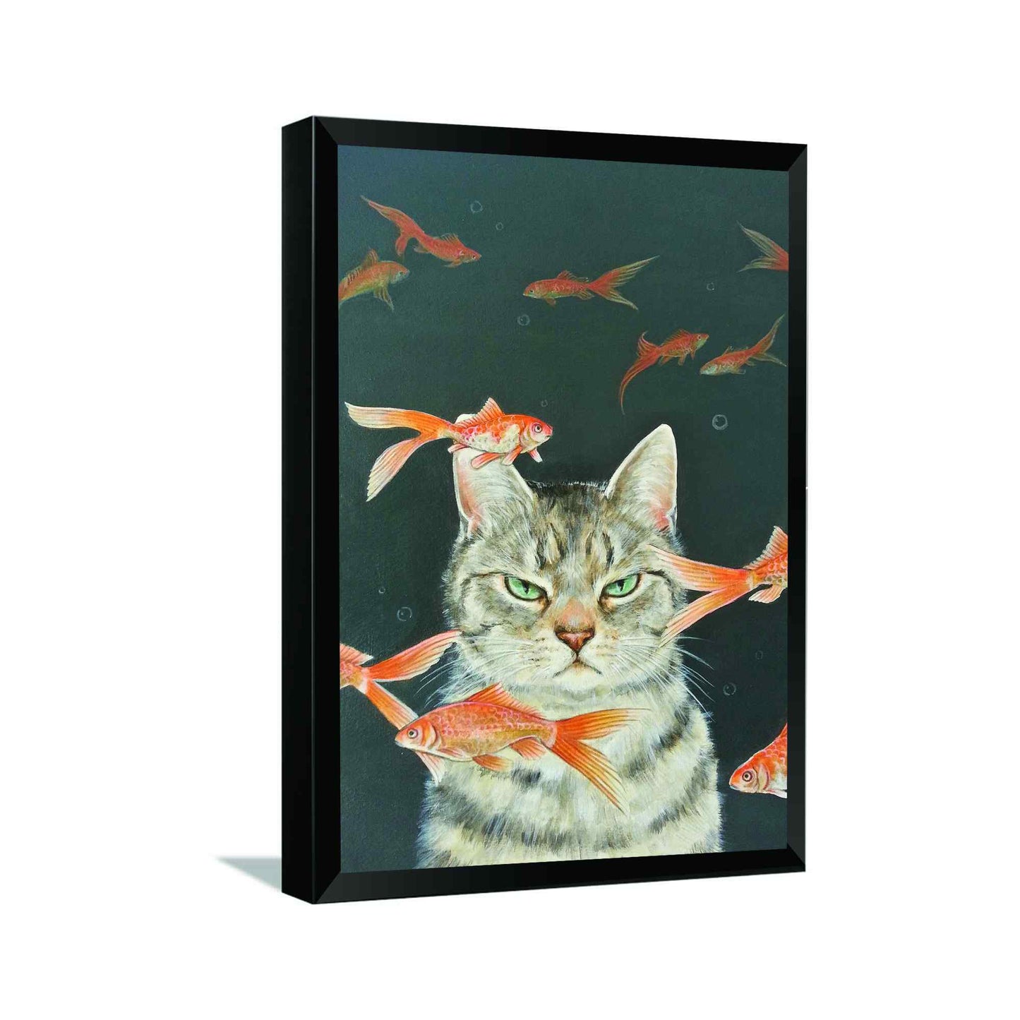 Fish cat---