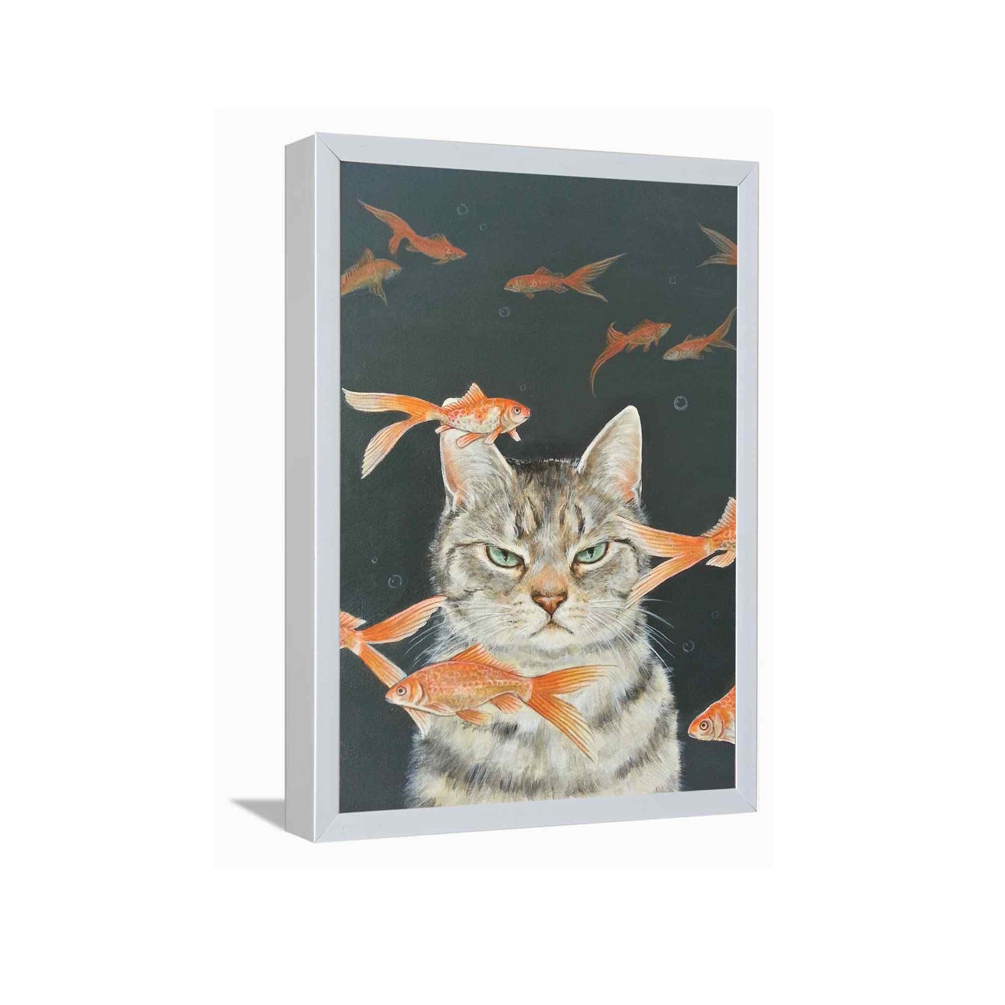 Fish cat---