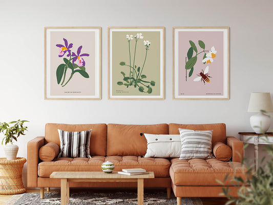 Botanical Posters | Plant on Fields | wallstorie