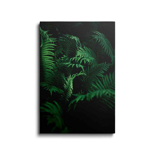 Botanical prints | Deep Green Fern | wallstorie