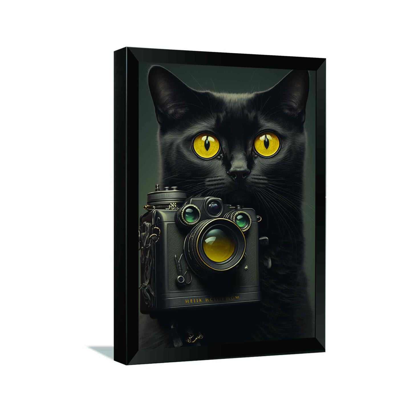 Black Cat With Camera---