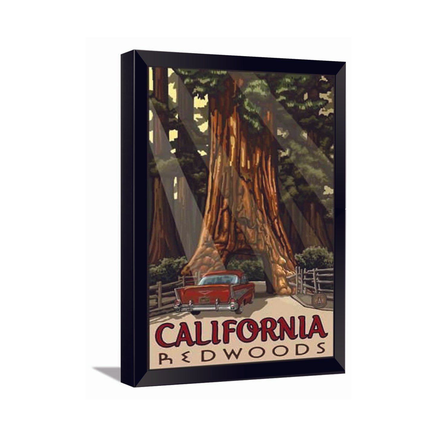 California Red Woods---