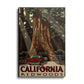 California Red Woods