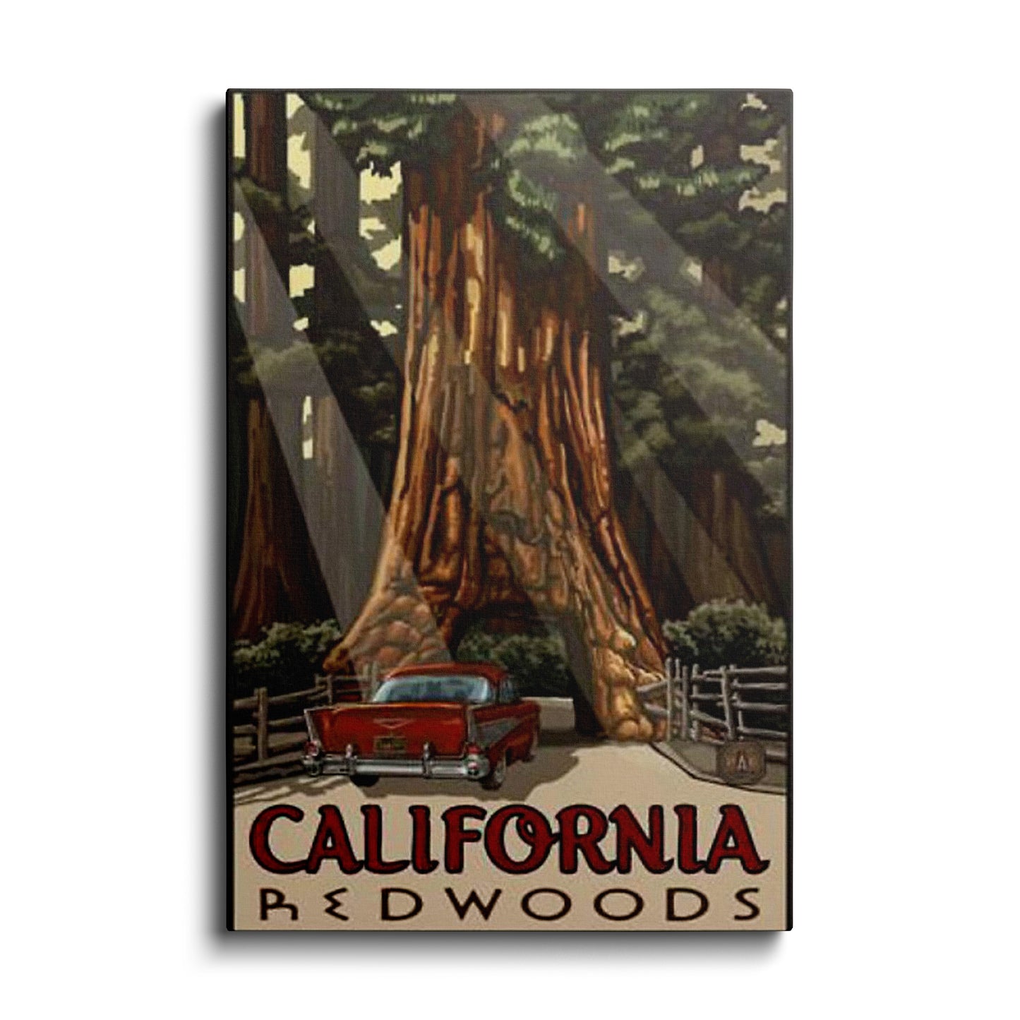California Red Woods---