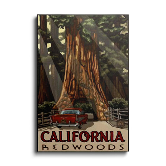 Travel Art | California Red Woods | wallstorie