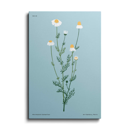 Botanical prints | Snowdrop Flower | wallstorie
