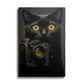 Black Cat With Camera