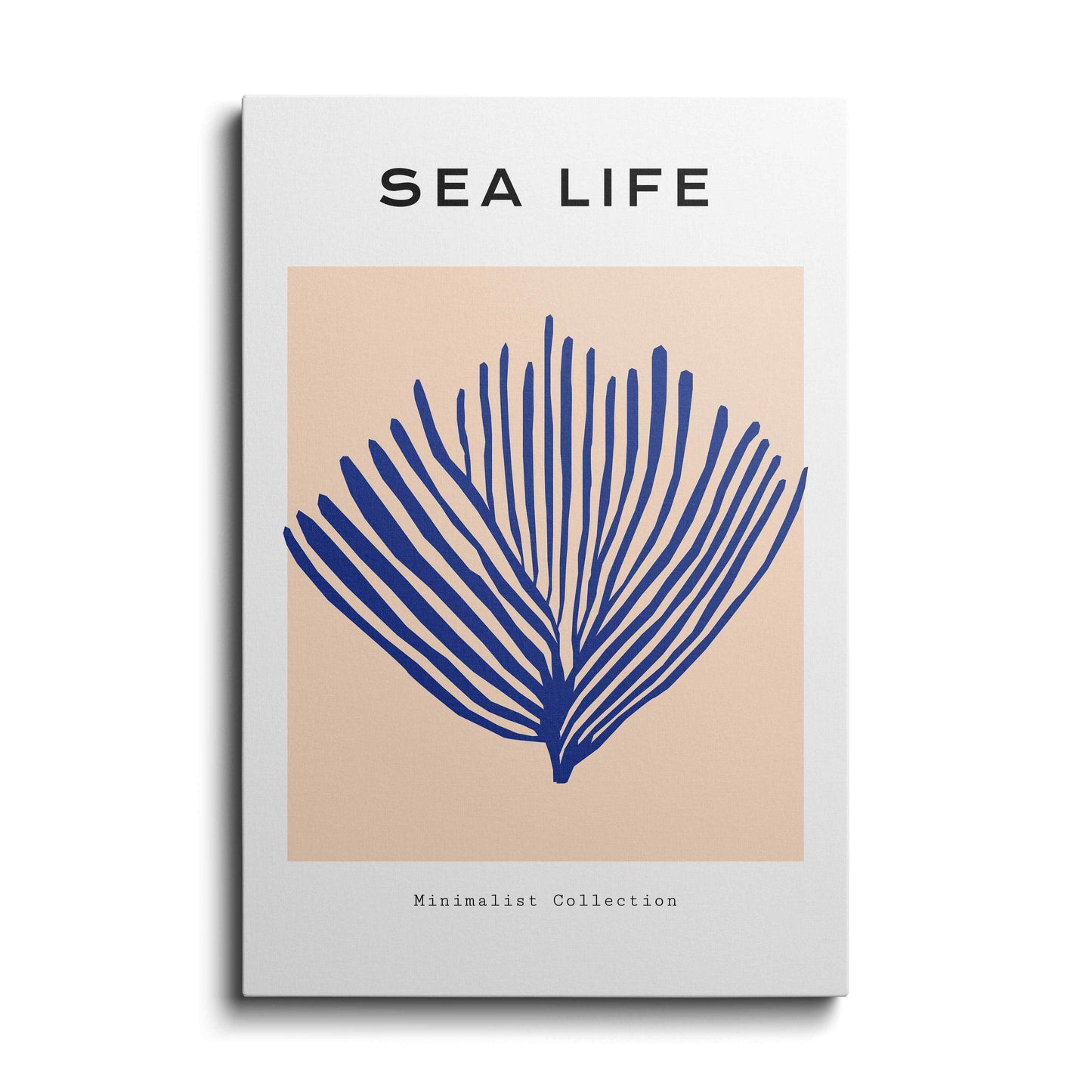 Life in Sea---