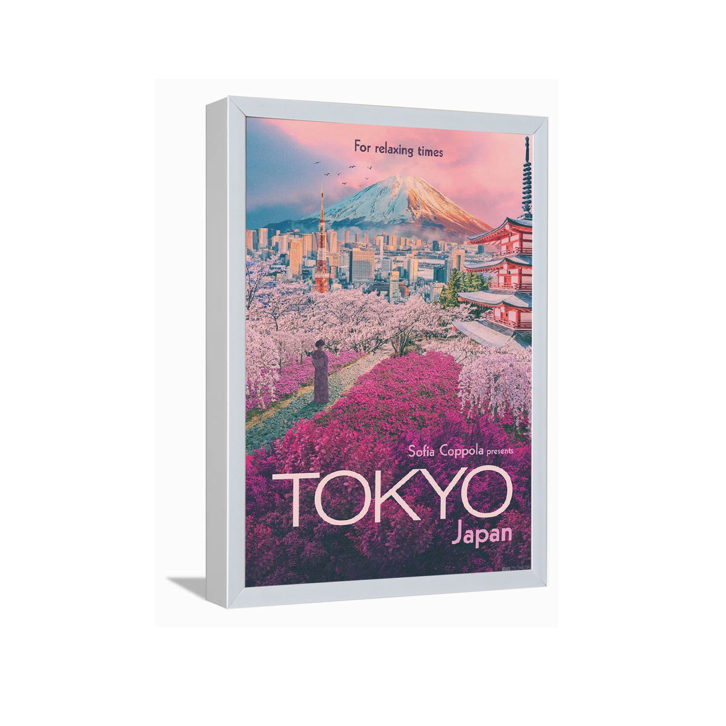 Tokyo Japan-3---