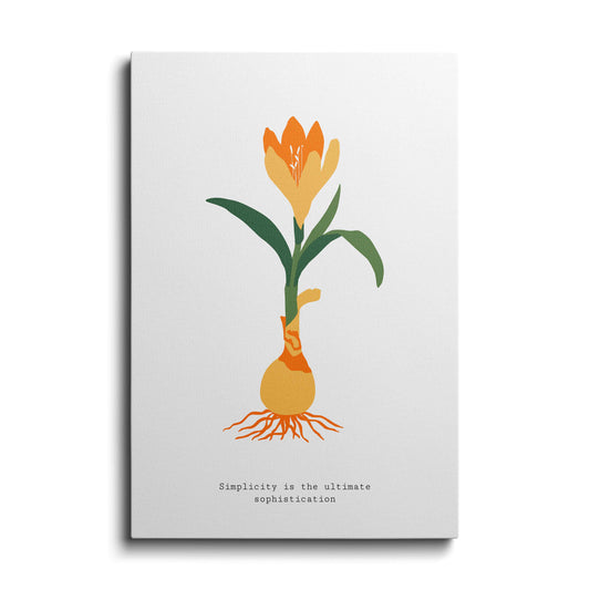 Botanical prints | Single Tulip | wallstorie