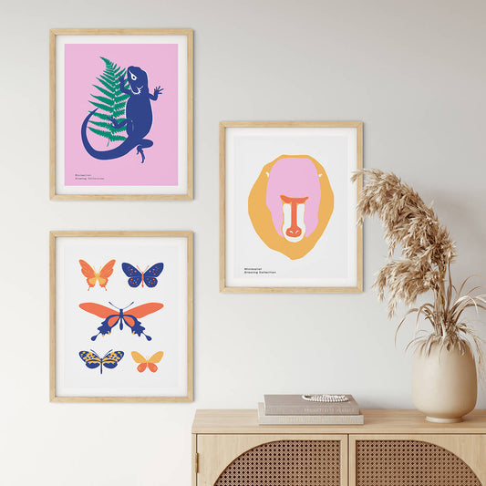 Wildlife Posters | Wildlife - Butterfly | wallstorie