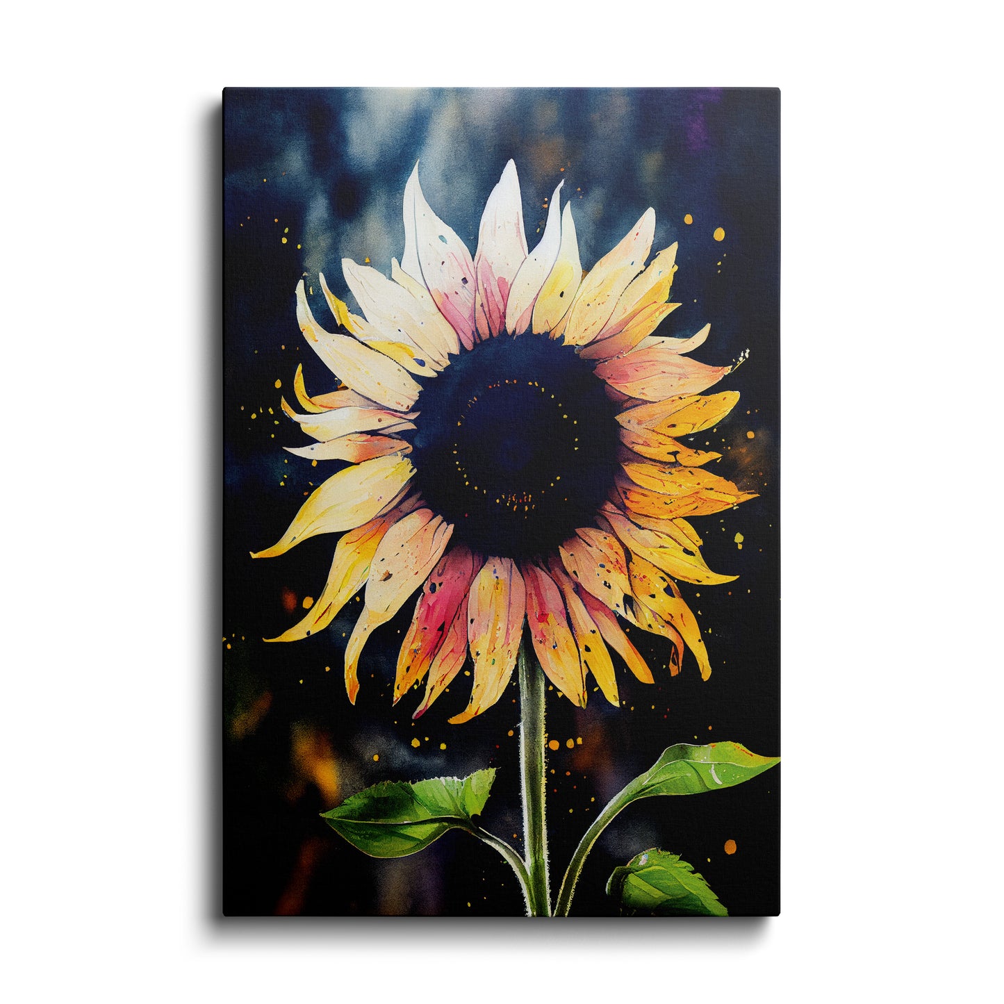 Beautiful Sunflower---