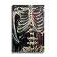 Skeleton Painting