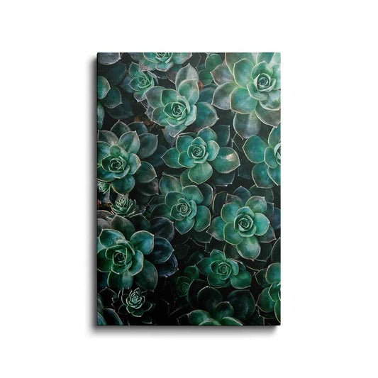 Botanical prints | Sedum Plant | wallstorie