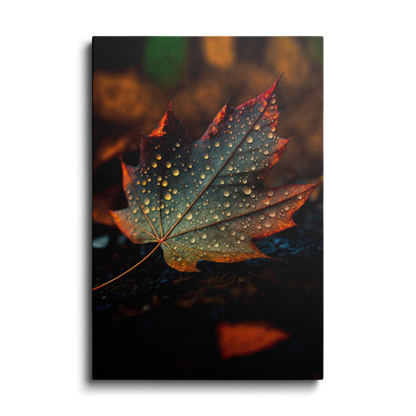 Rain Drop On Maple Leaf---