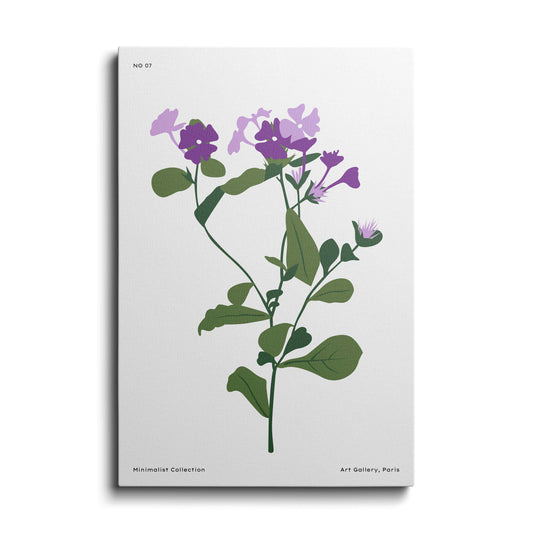 Botanical prints | Periwinkle Flower | wallstorie