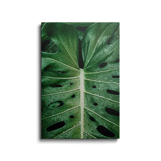 Botanical prints | Monstera In The Rain | wallstorie