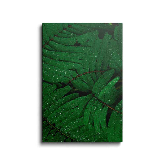 Botanical prints | Fern | wallstorie
