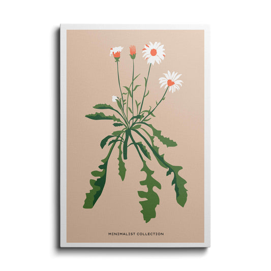 Botanical prints | Shining Daisy | wallstorie