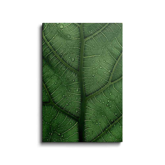 Botanical prints | Closeup Green Leaf | wallstorie