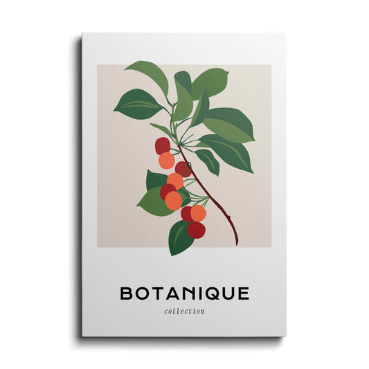 Botanical prints | Hanging Leachy | wallstorie