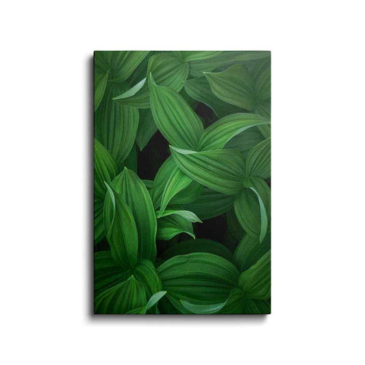 Botanical prints | Small-Leaf Spiderwort | wallstorie