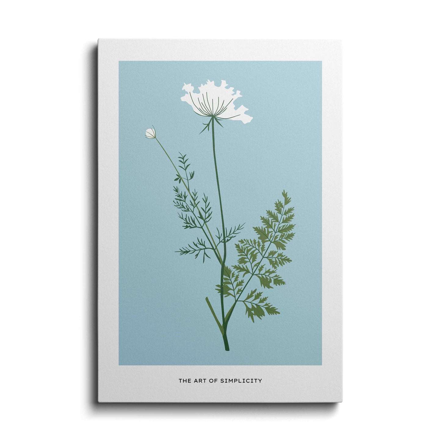 White Honeysuckle Flower---