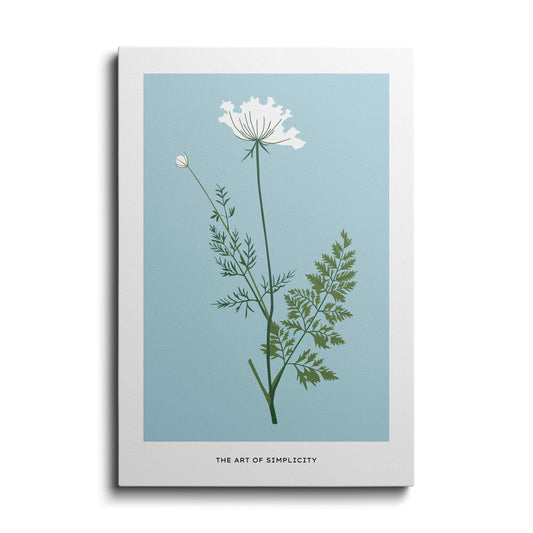 Botanical prints | White Honeysuckle Flower | wallstorie