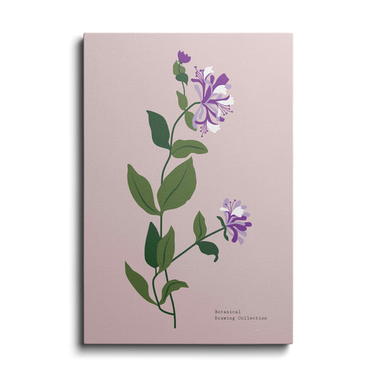 Botanical prints | Aster Flower | wallstorie