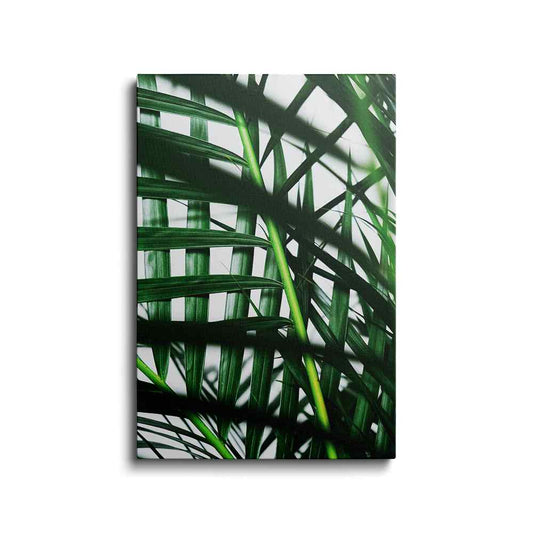 Botanical prints | Bamboo Plant | wallstorie