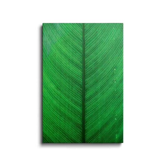 Botanical prints | Palm Leaf | wallstorie