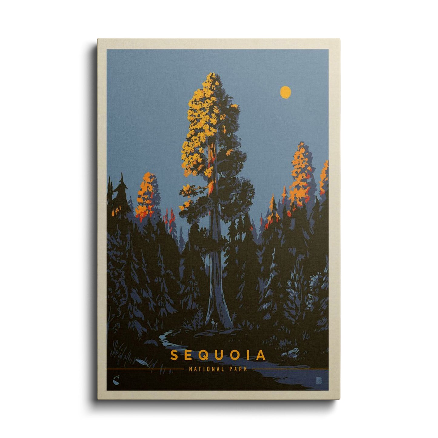 Sequoia National Park---